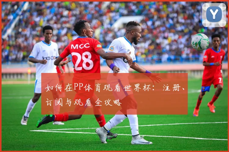 如何在PP体育观看世界杯：注册、订阅与观看全攻略