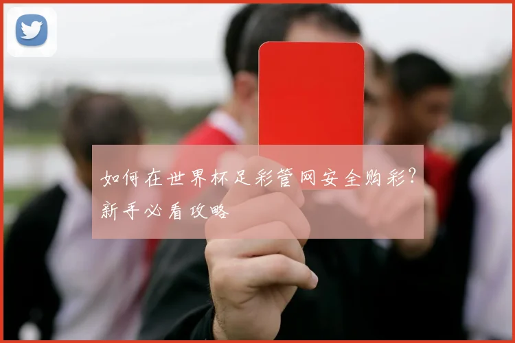 如何在世界杯足彩管网安全购彩？新手必看攻略