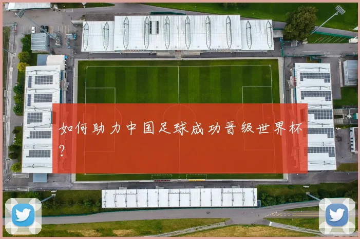 如何助力中国足球成功晋级世界杯？