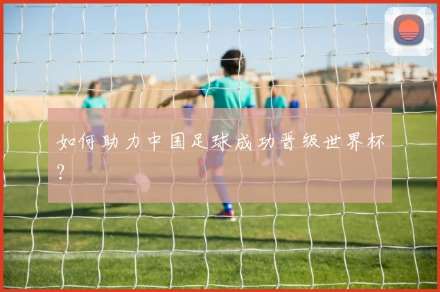 如何助力中国足球成功晋级世界杯？