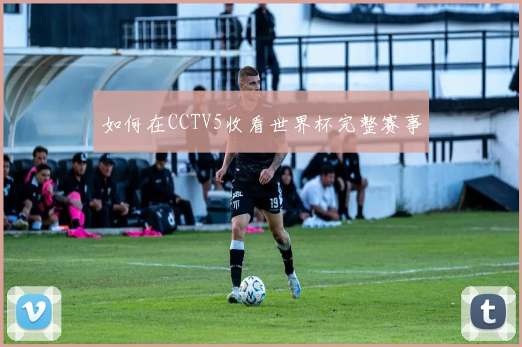 如何在CCTV5收看世界杯完整赛事