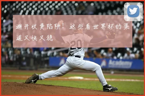 避开收费陷阱！这些看世界杯的渠道又快又稳