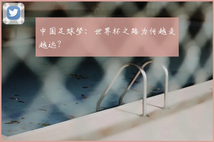 中国足球梦：世界杯之路为何越走越远？