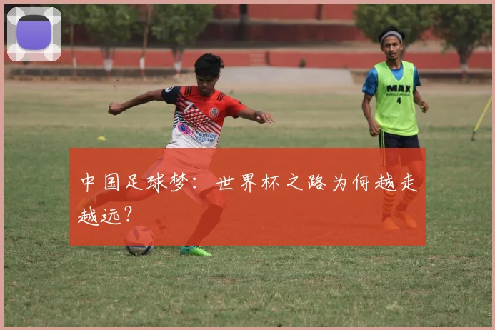 中国足球梦：世界杯之路为何越走越远？