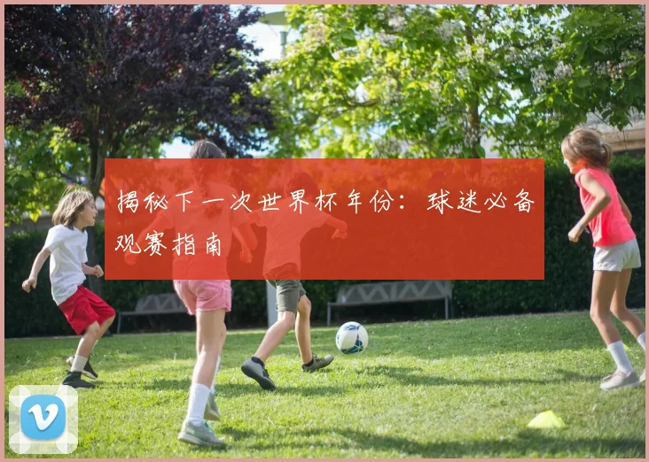 揭秘下一次世界杯年份:球迷必备观赛指南